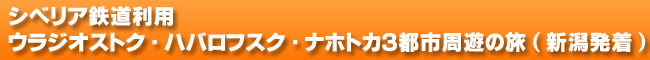 �V�x���A�S�����p�@�E���W�I�X�g�N�E�n�o���t�X�N�E�i�z�g�J�R�s�s���V�̗��@(�V������)