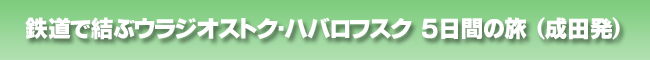�S���Ō��ԃE���W�I�X�g�N�E�n�o���t�X�N�̗��@(���c��)