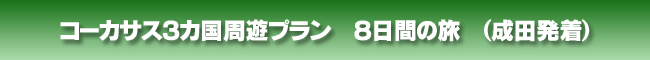 �R�[�J�T�X�R�J�����V�v�����@�W���Ԃ̗��@(���c����)