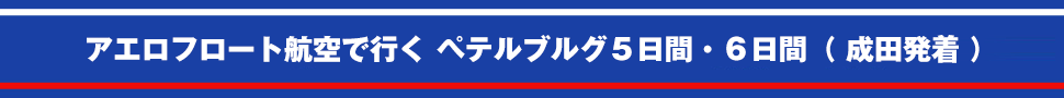 アエロフロート航空で行くモスクワ・ペテルブルグ6日間・7日間