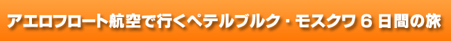 �A�G���t���[�g�ōs���@�y�e���u���O���X�N���U���Ԃ̗�