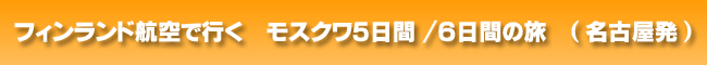 �t�B�������h�q��ōs���@���X�N���U���Ԃ̗��@(�֋�)