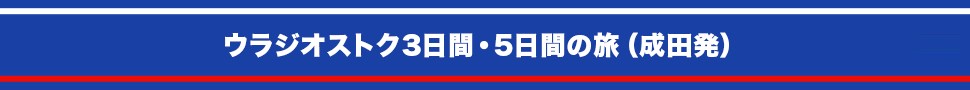 ウラジオストク3日間・5日間の旅(成田発)