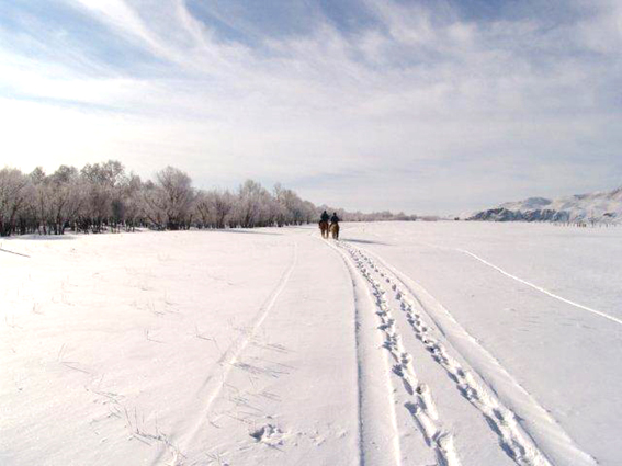 モンゴルの憧れのゲルに滞在。冬の乗馬ライディングツアー5日間