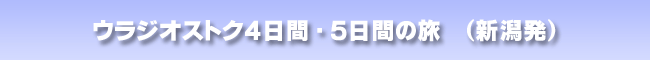 ウラジオストク４日間・５日間の旅　新潟発
