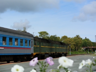 『銀河鉄道』のサハリン鉄道と花